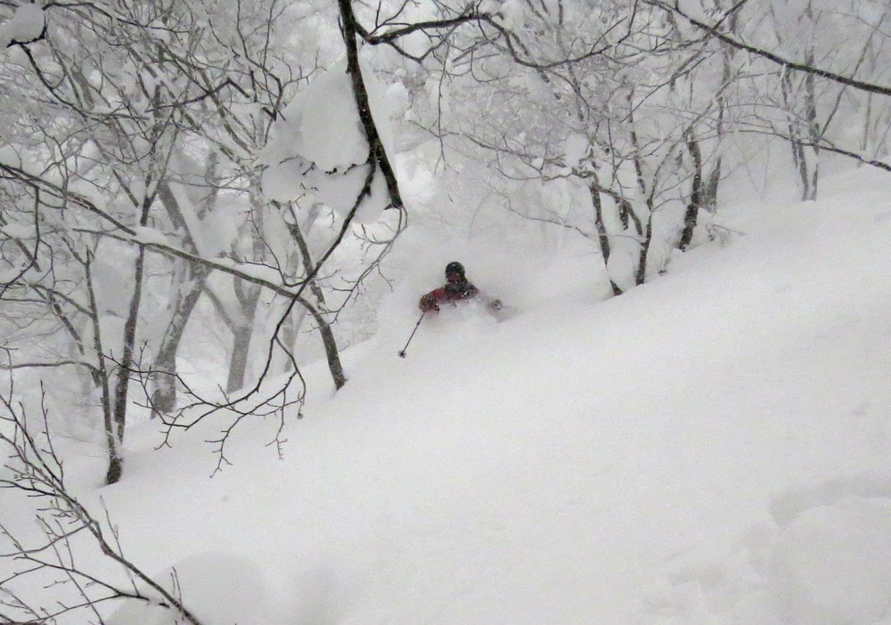 And another epic powder run