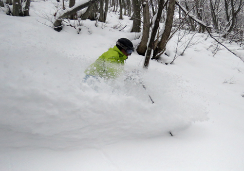 Plenty of pow in the off-piste