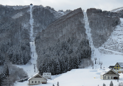 Low snow base when we visited but amazing treed terrain