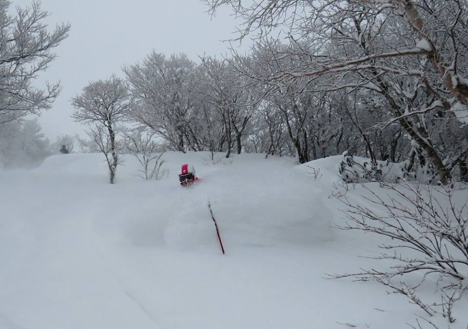 Powder at one of the Bandai ski resorts