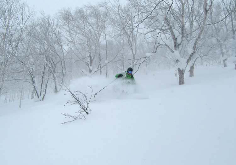 Plenty of great tree skiing!