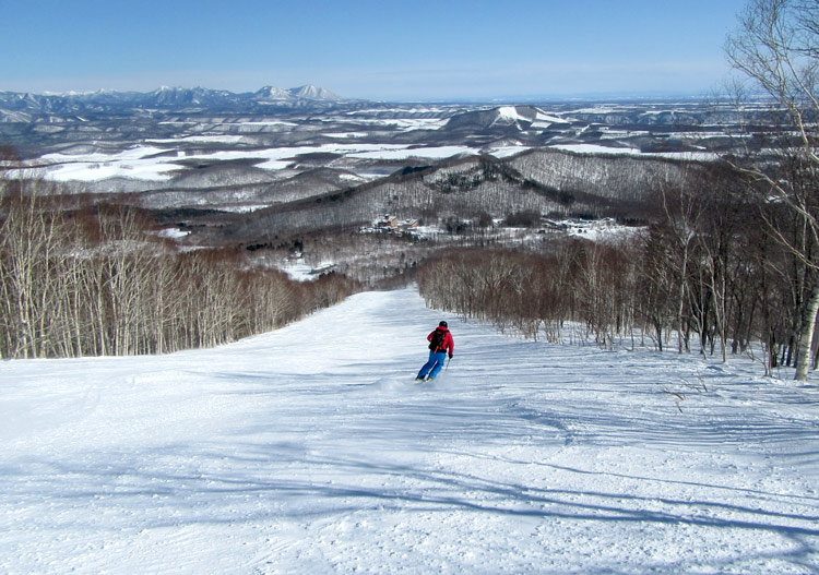 A few lovely intermediate groomers