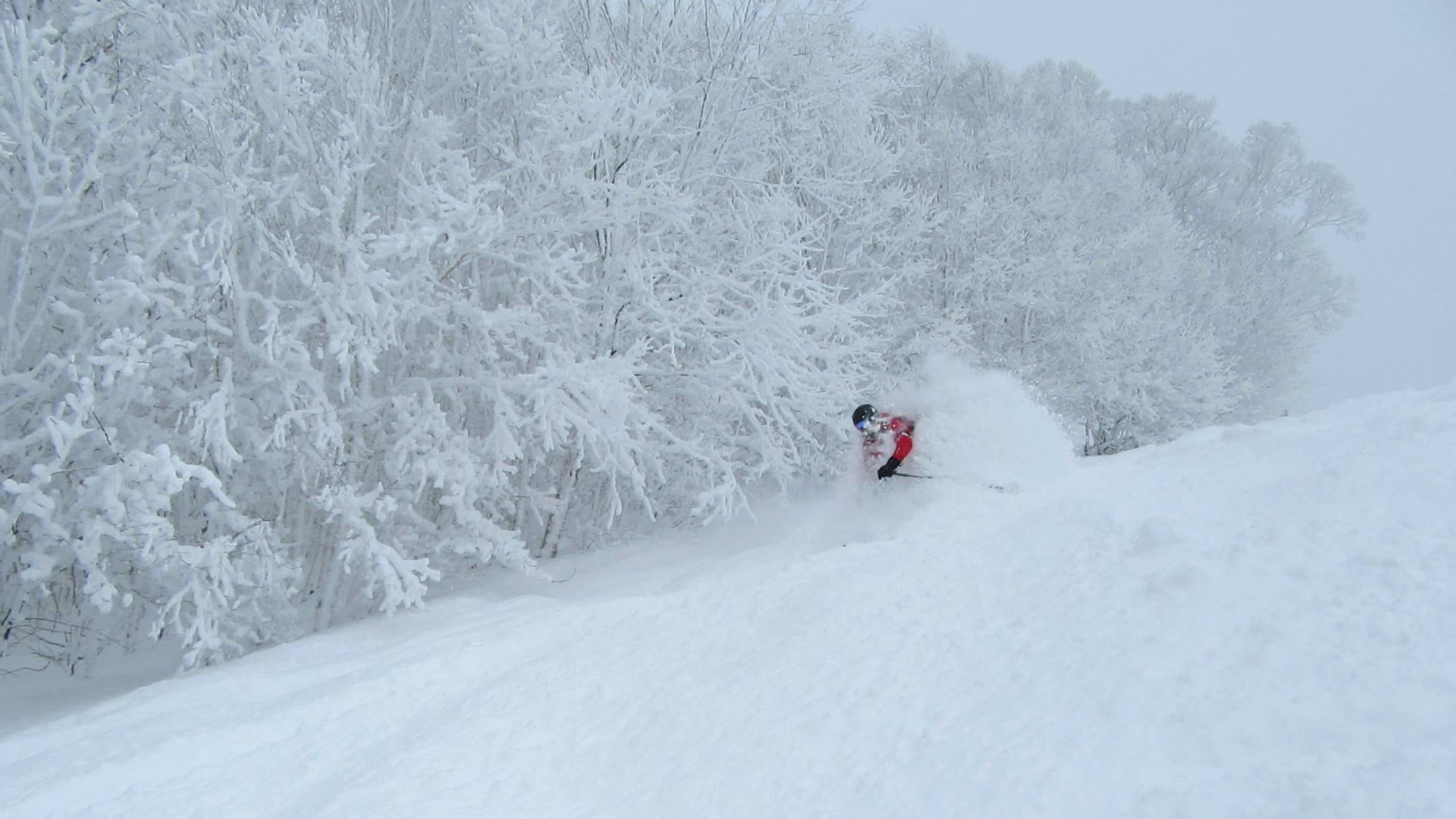 Fresh tracks were relatively easy to come by