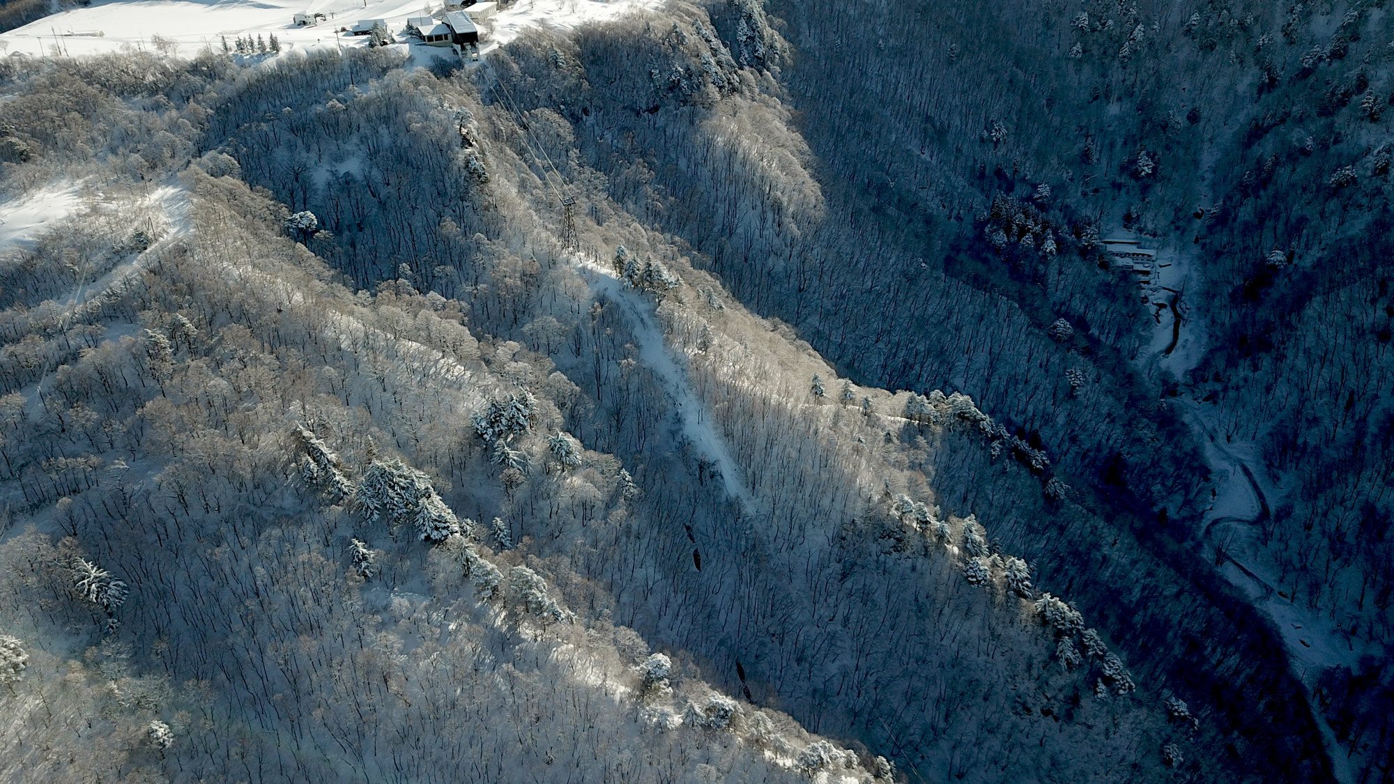 Some of the fab terrain under the ropeway