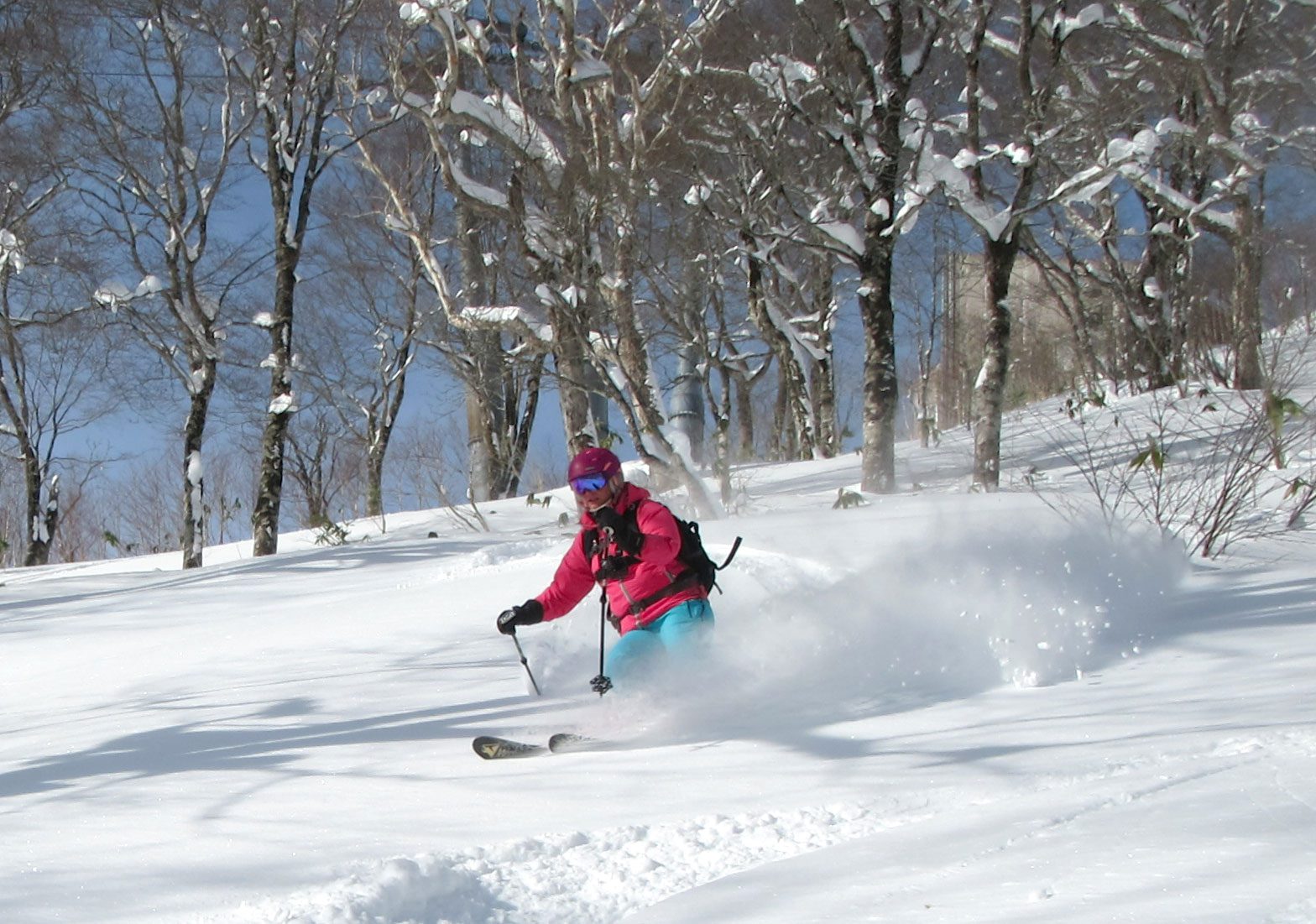 Tree skiing