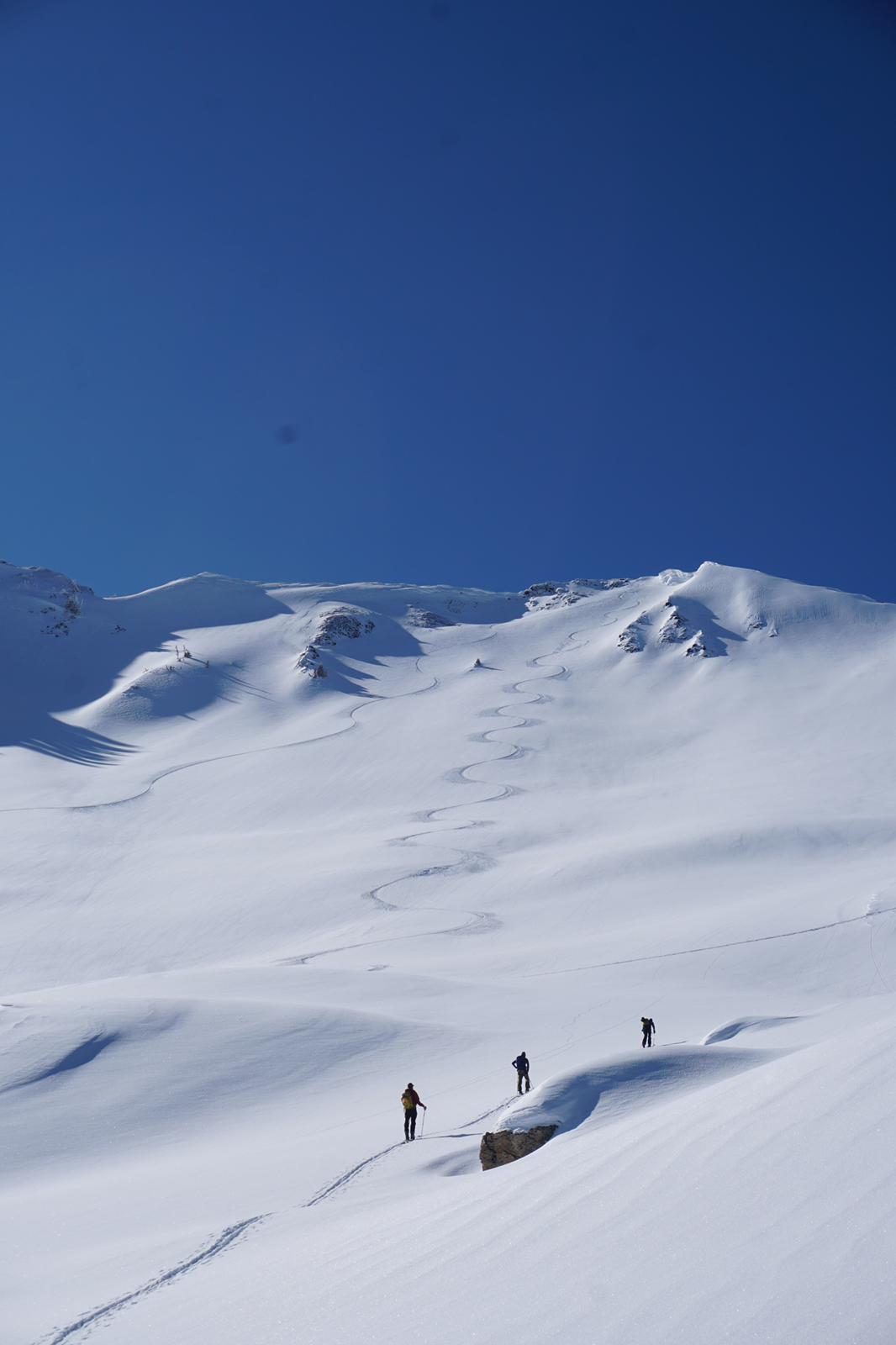 Alta Backcountry #1