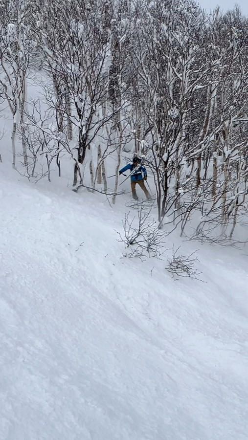 Japan 'glades'