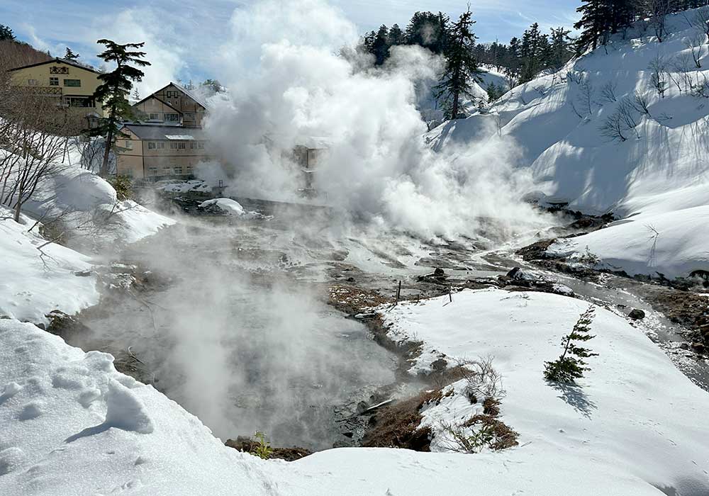 Visit to a nearby onsen