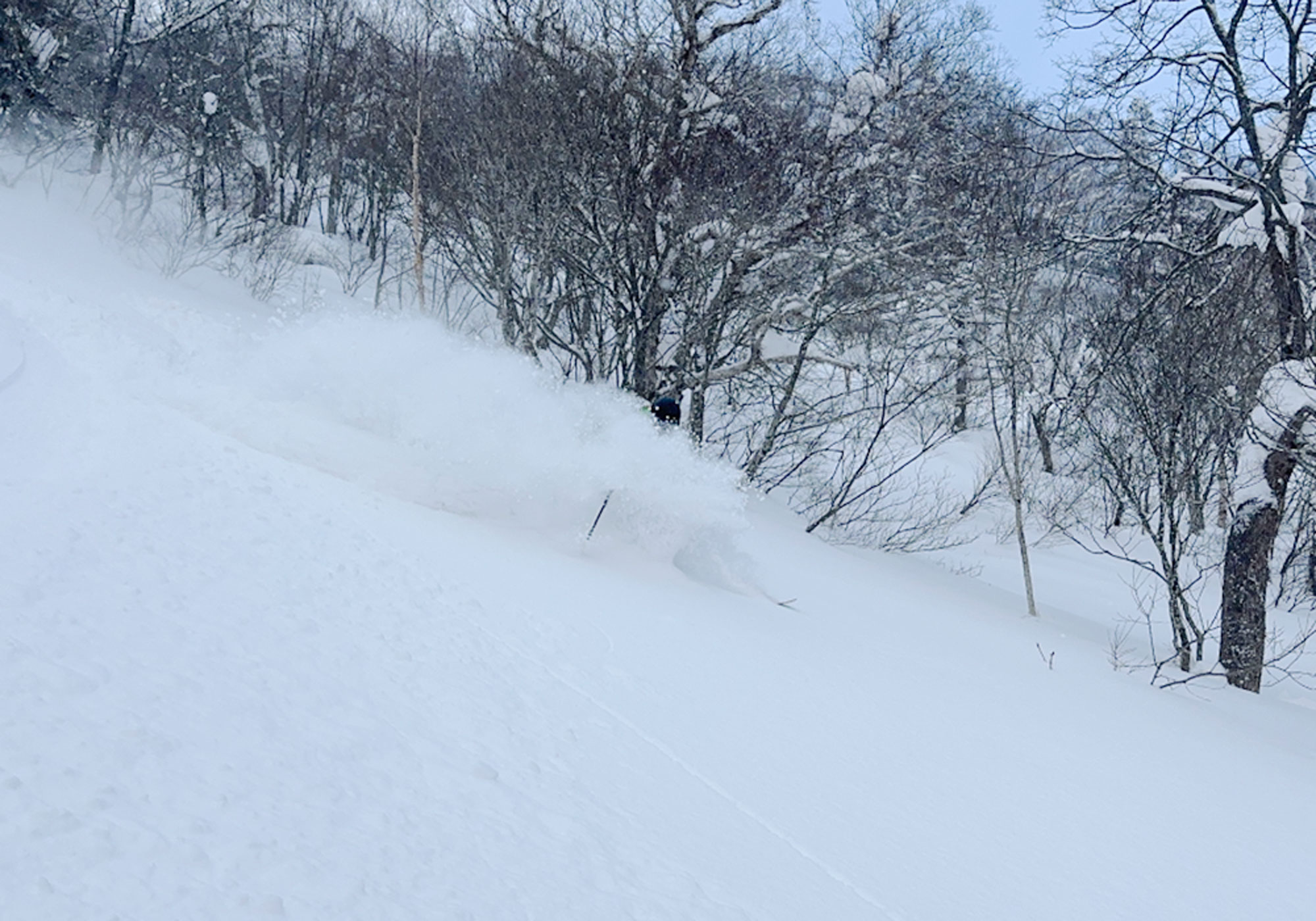 Powder on the side of the piste