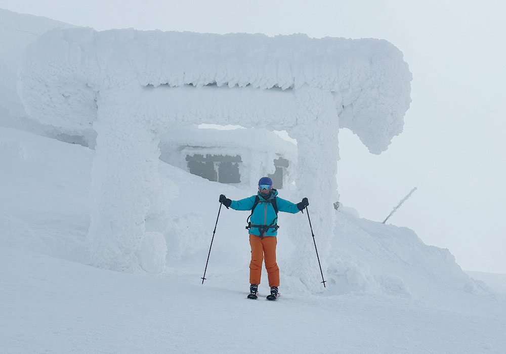 Gate caked in rime