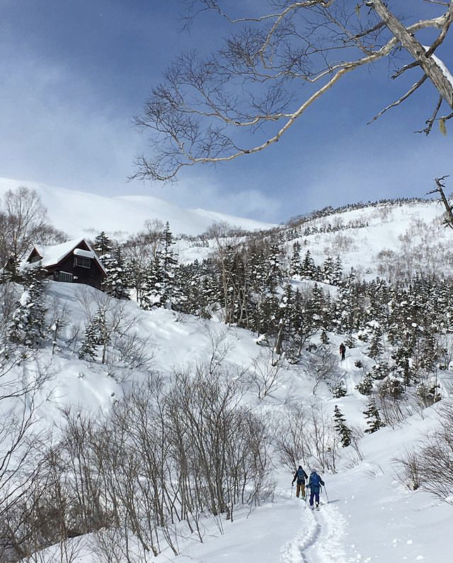 Backcountry touring at Tsugaike