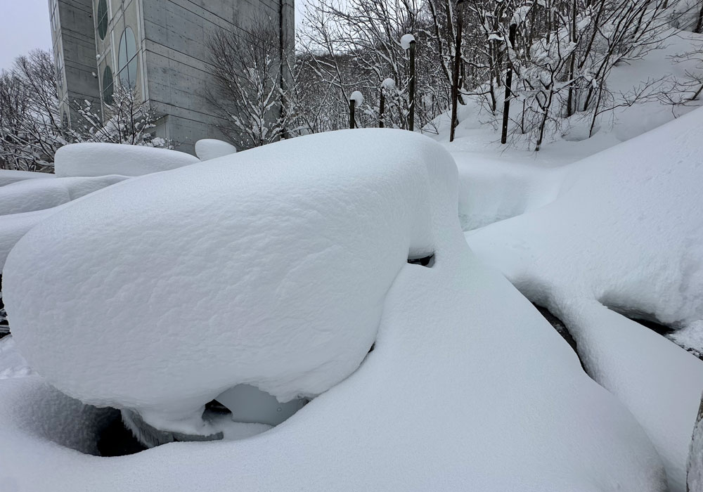 Need to dig the car out yet again