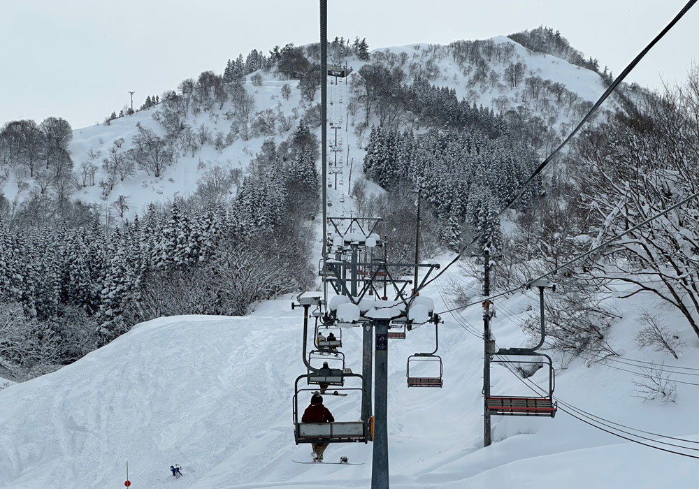 Some tasty terrain off this lift