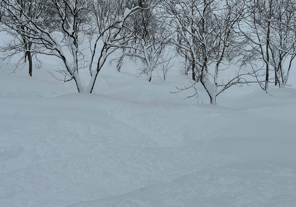 Really deep in the FWT