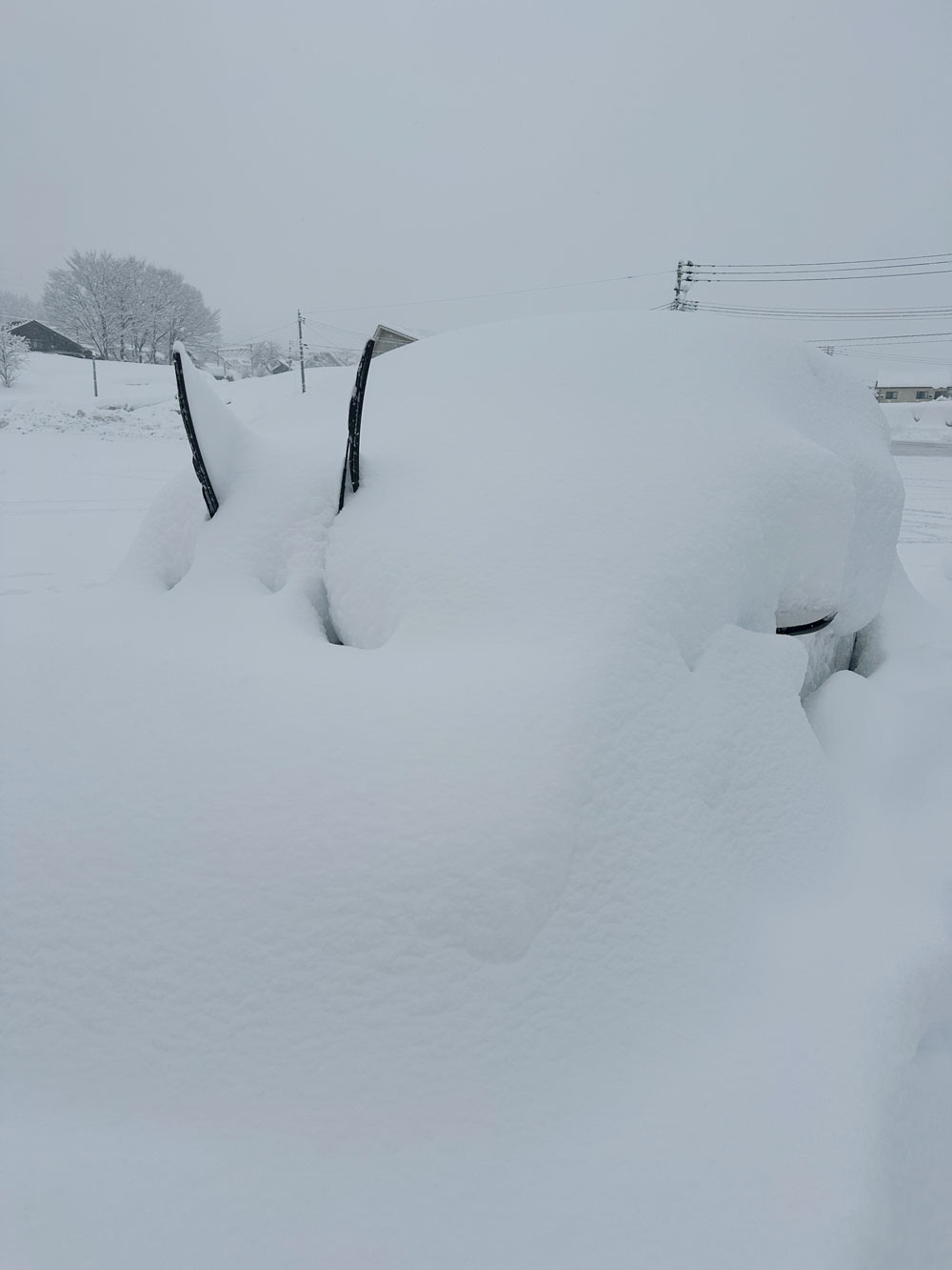 Plenty of fresh snow