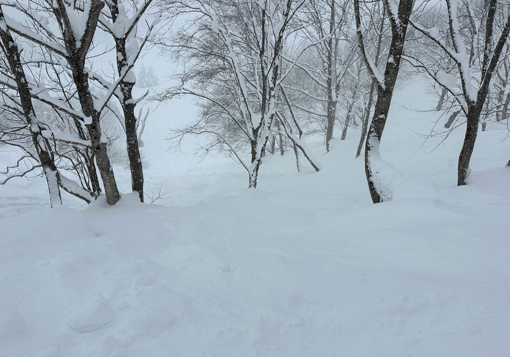 Chunky snow