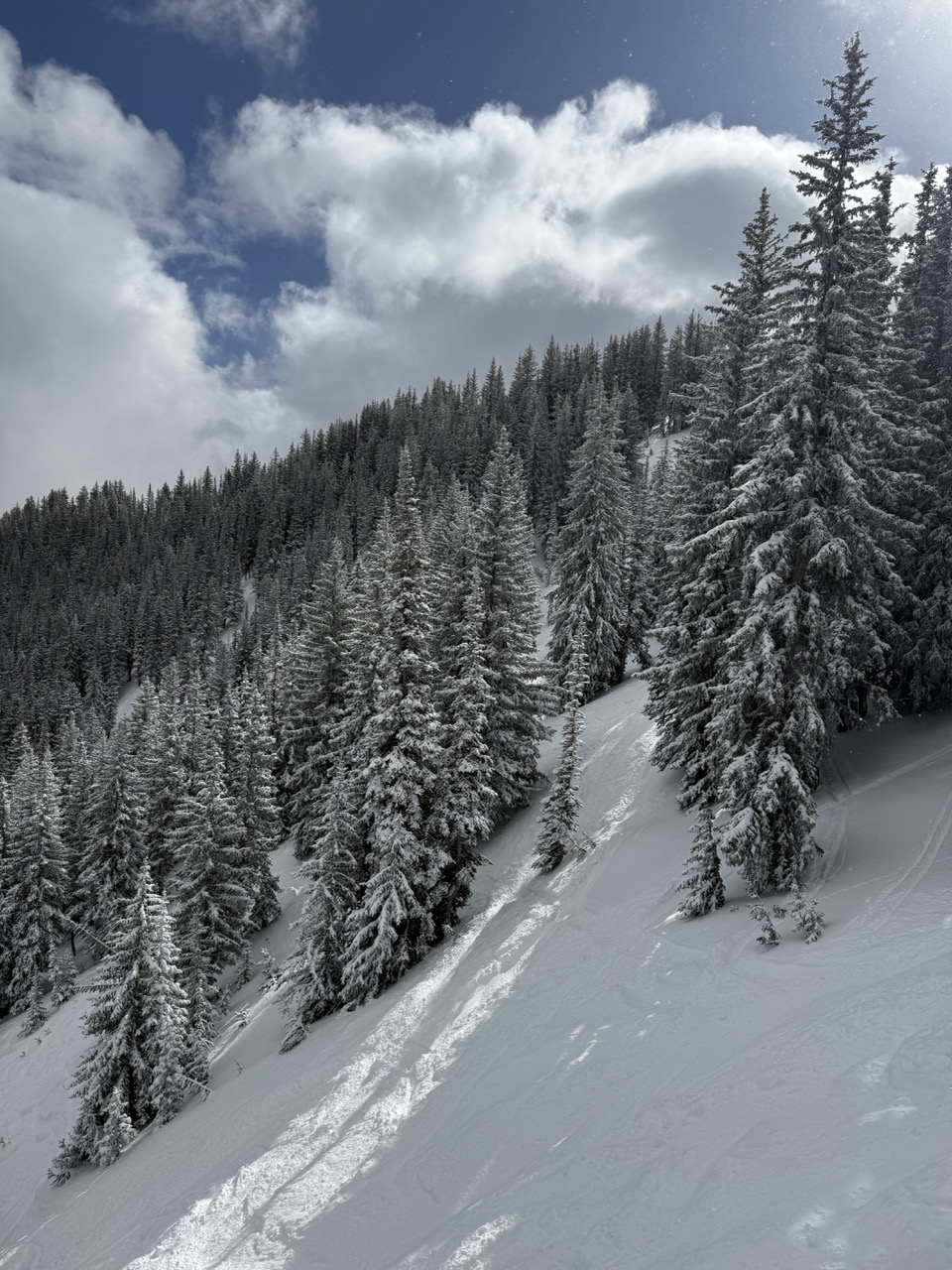 steeps