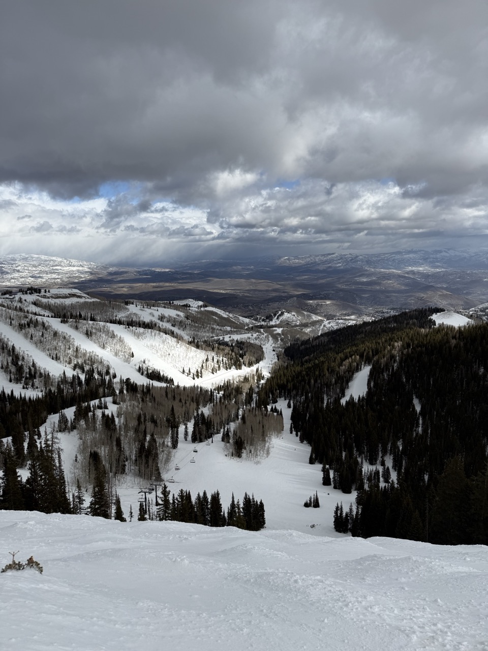 Top of McConkeys