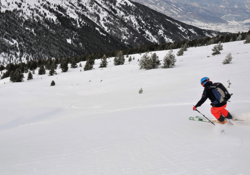 SF Freeride Cat Skiing