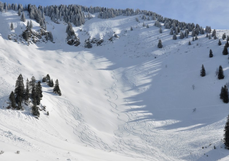  Châtel ski package