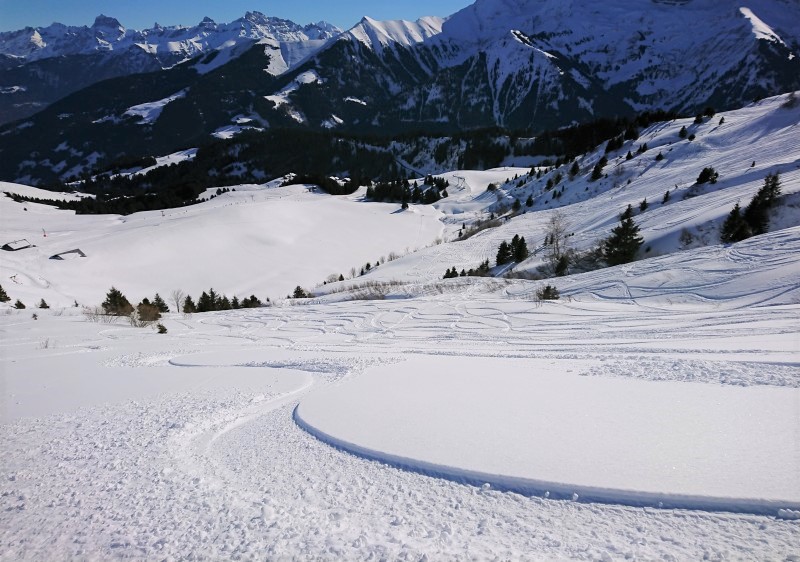 Cheeky fresh turns in Champoussin, Switzerland