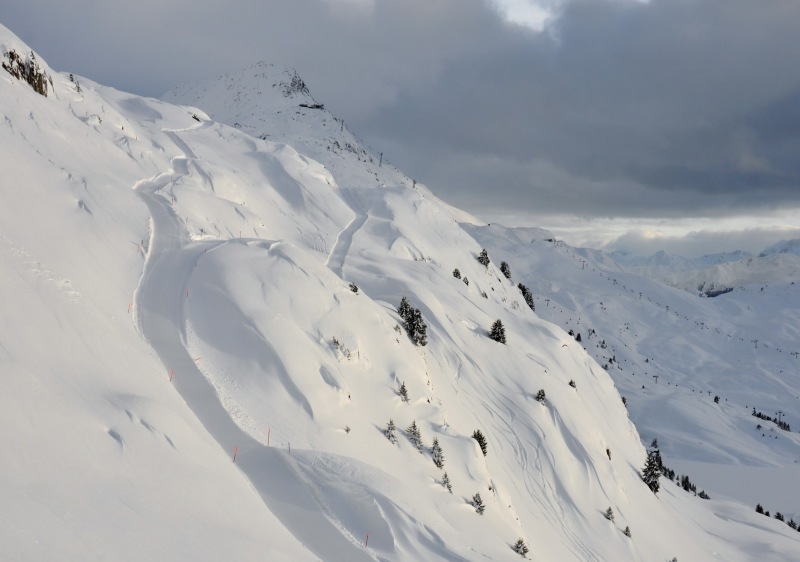 Get a guide or local instructor to explore all the best bits of Aletsch Arena Switzerland