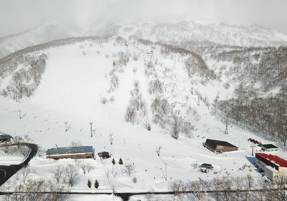 Niseko Annupuri Ski Resort