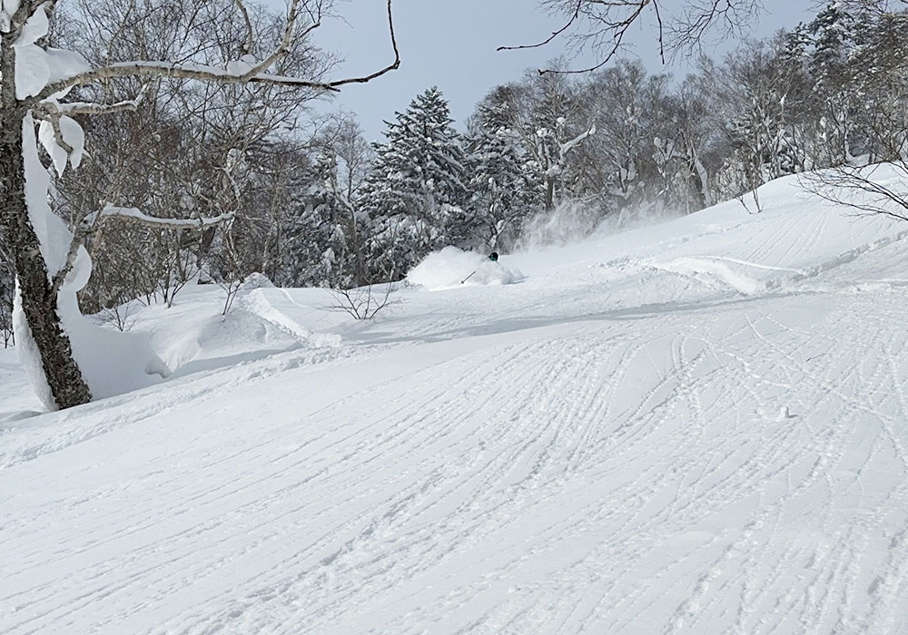 Get a Furano ski guide to show you the backcountry