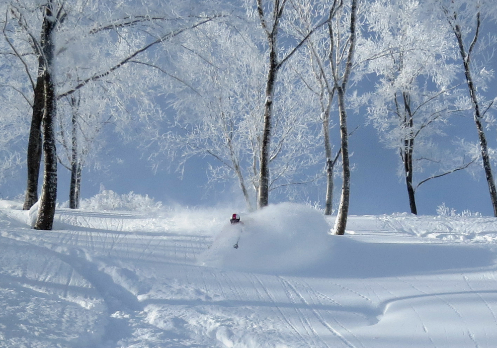 Where to Ski in Japan? Destination Resort or Road Trip?