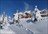 Nord Freeride Cat Skiing Packages