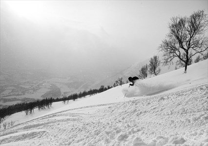 Remote Lines: The Loppa Experience
