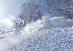 Freeride Skiing Hokkaido