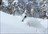Freeride Skiing Hokkaido