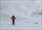 Freeride Skiing Hokkaido