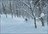 Freeride Skiing Hokkaido