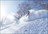 Freeride Skiing Hokkaido