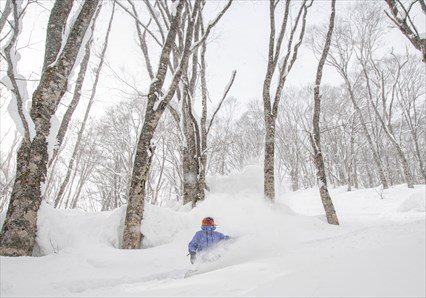 Myoko Resort Guiding