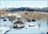 Ski Yamagata for Beginners