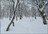Iwate Snow Frontier