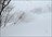 Iwate Snow Frontier