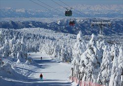 Yamagata Snow Monster Tour