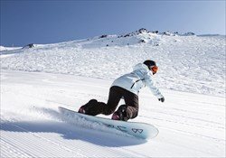 Green Kiwi Snow