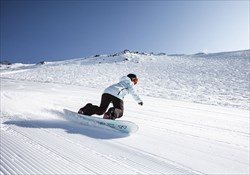Green Kiwi Snow