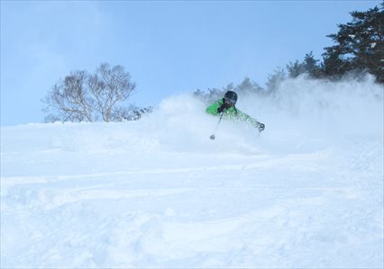 Tohoku Yuki