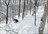 Asahikawa Drifter