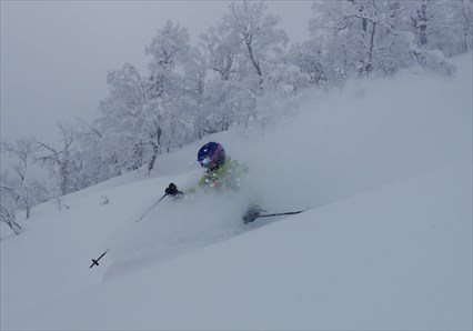 Central Hokkaido Day Guiding