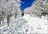 Central Hokkaido Day Guiding