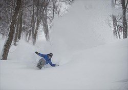 Aomori Freeride Tour