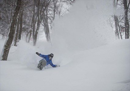 Aomori Freeride Tour