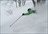 Aomori Freeride Tour